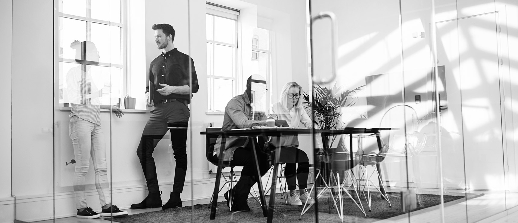 portal empleo